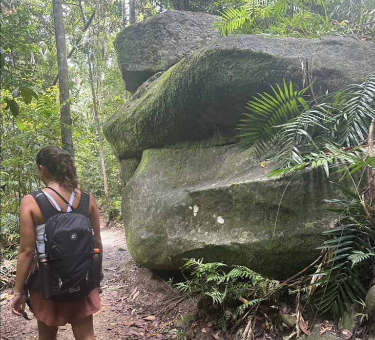 Mackay: Finch Hatton Gorge Hike, Swim & Platypus Adventure