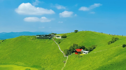 1-Day Small Group Tour to Mt. Omuro, Izu with Scenic Train Ride & Hotel Pick-up