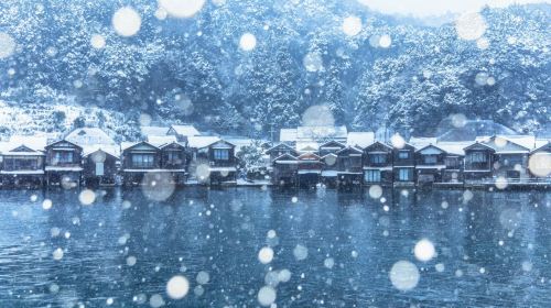 Kyoto Amanohashidate & Ine Fishing Village 1-Day Tour