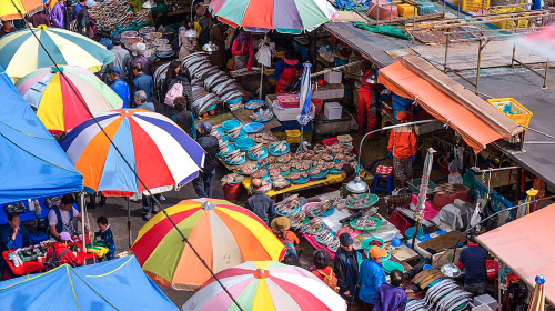 9 Highlights Busan City one-day tour Day Tours