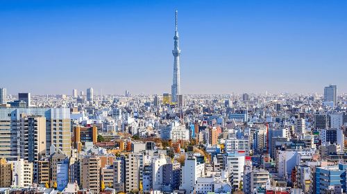 Tokyo Private Tour by Vehicle with English-Speaking Chauffeur Day Tours