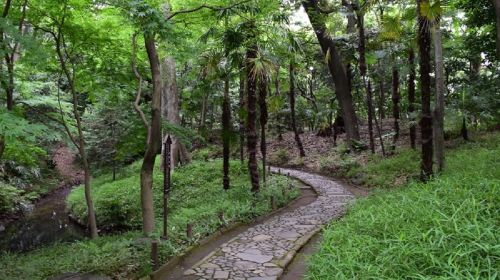 Koishikawa Korakuen Garden