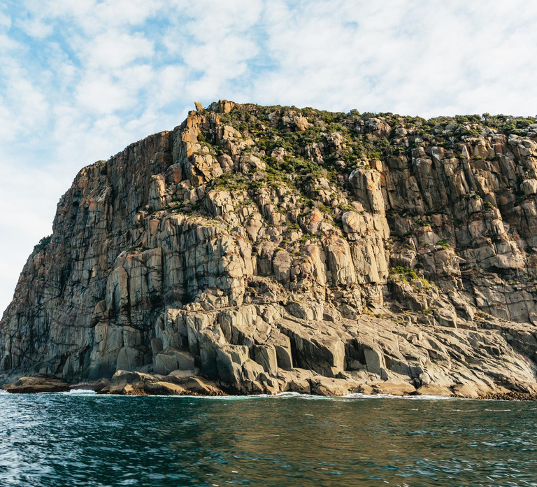 From Port Arthur: Tasman Island Wilderness Cruise