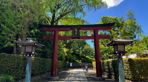 Yanaka & Ueno: Walking Tour of Tokyo Tradition & Culture Day Tours
