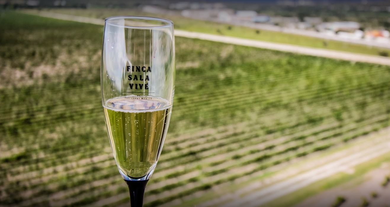 Private Tour to Freixenet Wine Cellar & Peña de Bernal