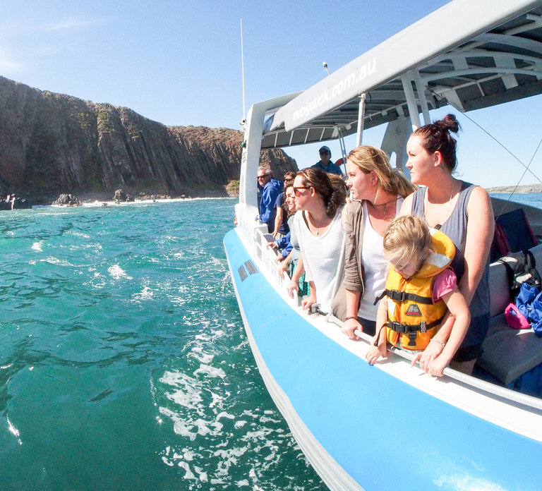 Victor Harbor: Southern Ocean Adventure Cruise with Guide