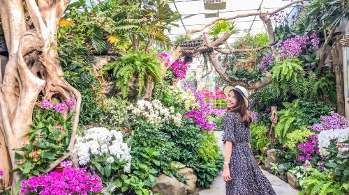 Flower Home
