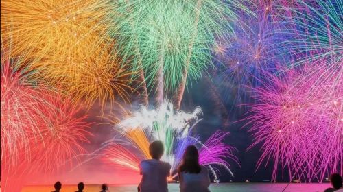 Tokyo Atami Sea Fireworks Tour Day Tours