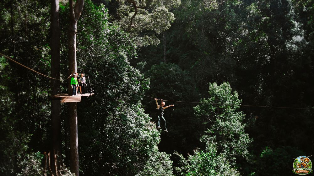 Flying Tiger Zipline Chiang Mai