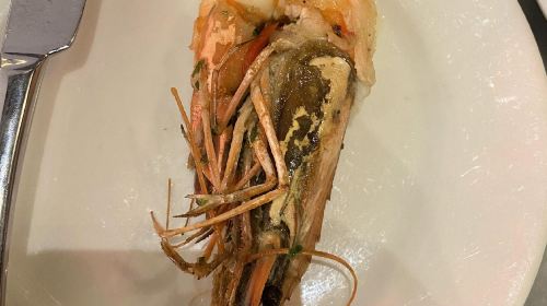 Dubai Markette influencer restaurant reservation service