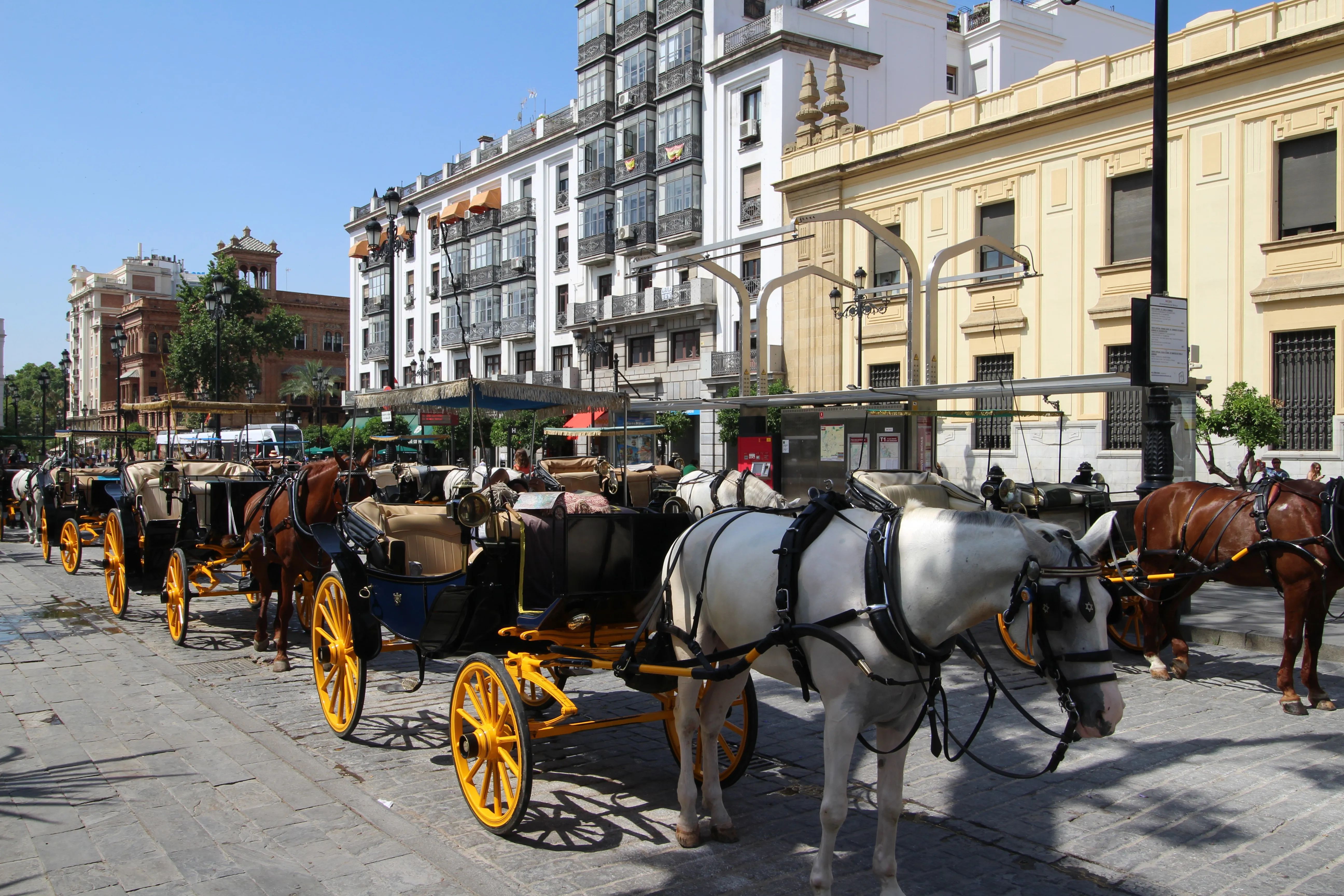 Carriage ride through in Seville