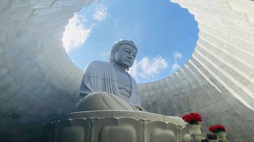 Jozankei Onsen Resort Spa Mori no Uta & Hill of the Buddha & Hoheikyo Valley Maple Viewing Day Tour