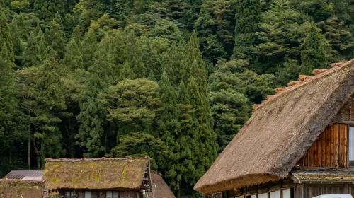 Nagoya Takayama Shirakawa-go Gassho Village Observation Deck 1-day Tour with Old Town Stroll and Hida Beef Food Experience Day Tours