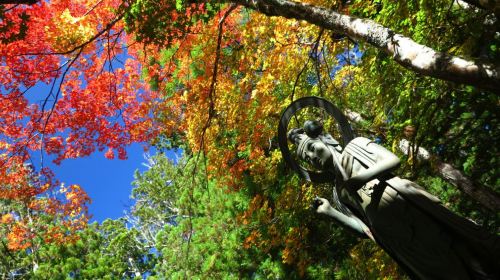 1-day tour from Osaka to world heritage Koyasan – Danjo Garan