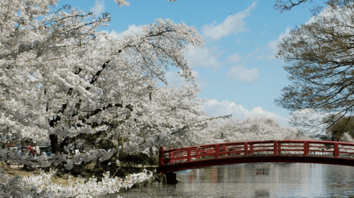 Private charter/transfer/point-to-point service in Nagano to Karuizawa/Kamikochi/Lake Suwa/Hakuba