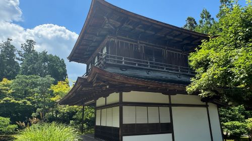 Kyoto: Ginkakuji, Silver Pavilion Guided Tour in 1 Hour Day Tours