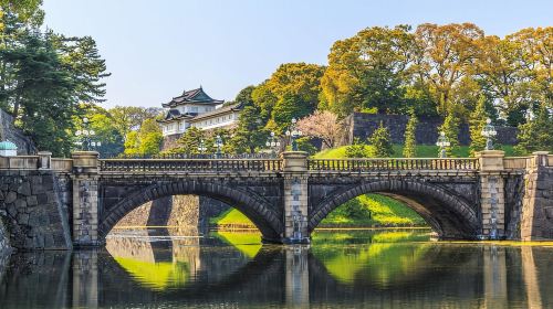 Tokyo: Half-Day Morning Small Group Tour Day Tours