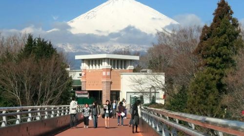 Mount Fuji, Oshino Hakkai & Gotemba Premium Outlets: Guided Bus Tour from Tokyo