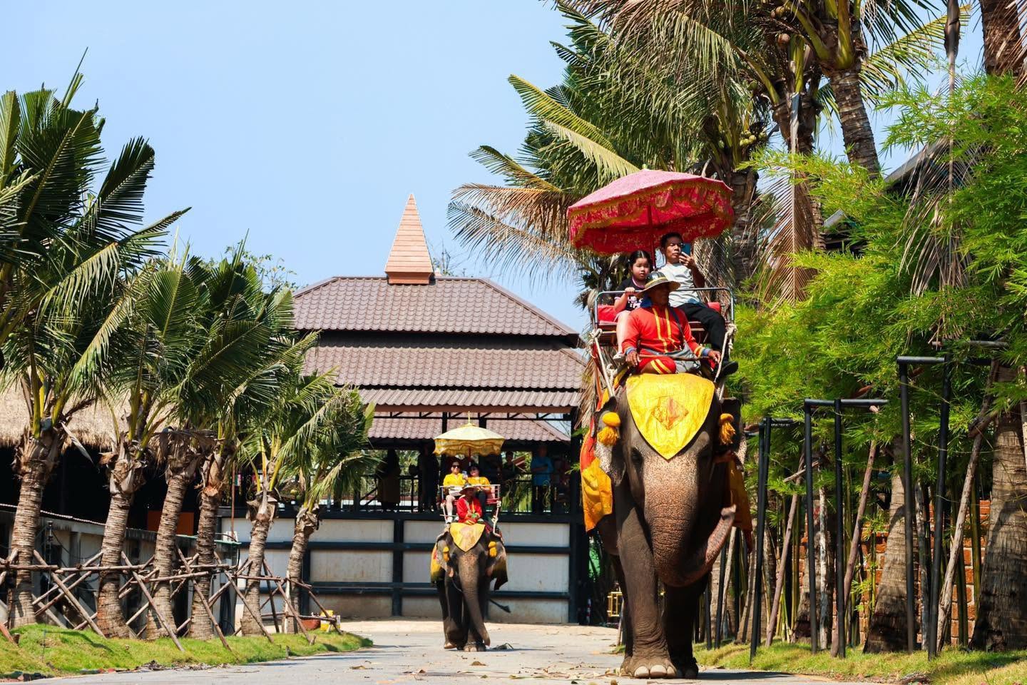 Chang Puak Camp Damnoen Saduak (Tiger & Liger Photo Experience)