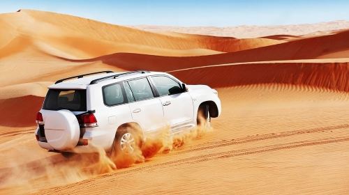 Private Morning Desert Safari up to 6 people Day Tours