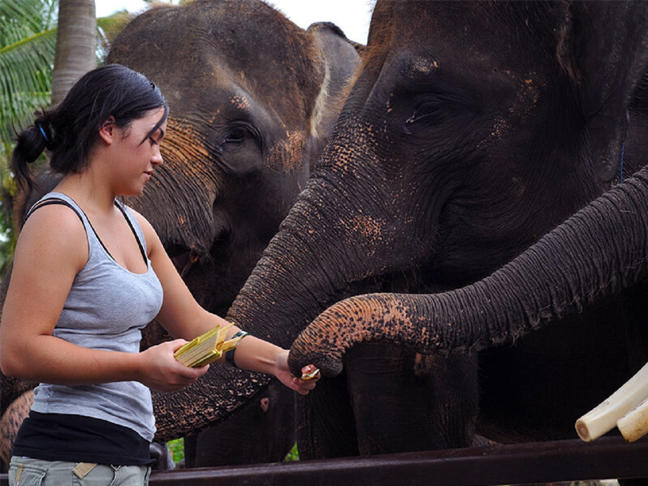 Safari Ride Tour