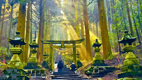 Kyushu Hidden Gems 1-day Tour – Kamishikimi Kumanoimasu Shrine, Mount Aso