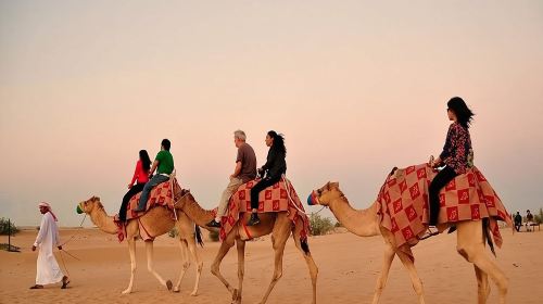 Premium Red Dunes Safari with BBQ dinner and Camel Ride Day Tours