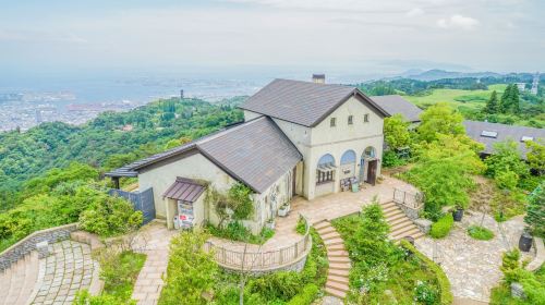 Himeji Castle + Arima Onsen + Mount Rokko (Departing from Osaka / Optional Tempura Deluxe Set Meal)