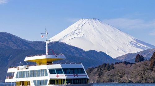 Fuji-Hakone: Day Tour from Tokyo + Return by Shinkansen + Optional Lunch