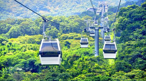 Taipei quantity + Shifen Old Street one-day tour – Popular Tourist Attractions Half-Day Tour