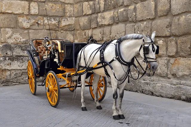 Carriage ride through in Seville