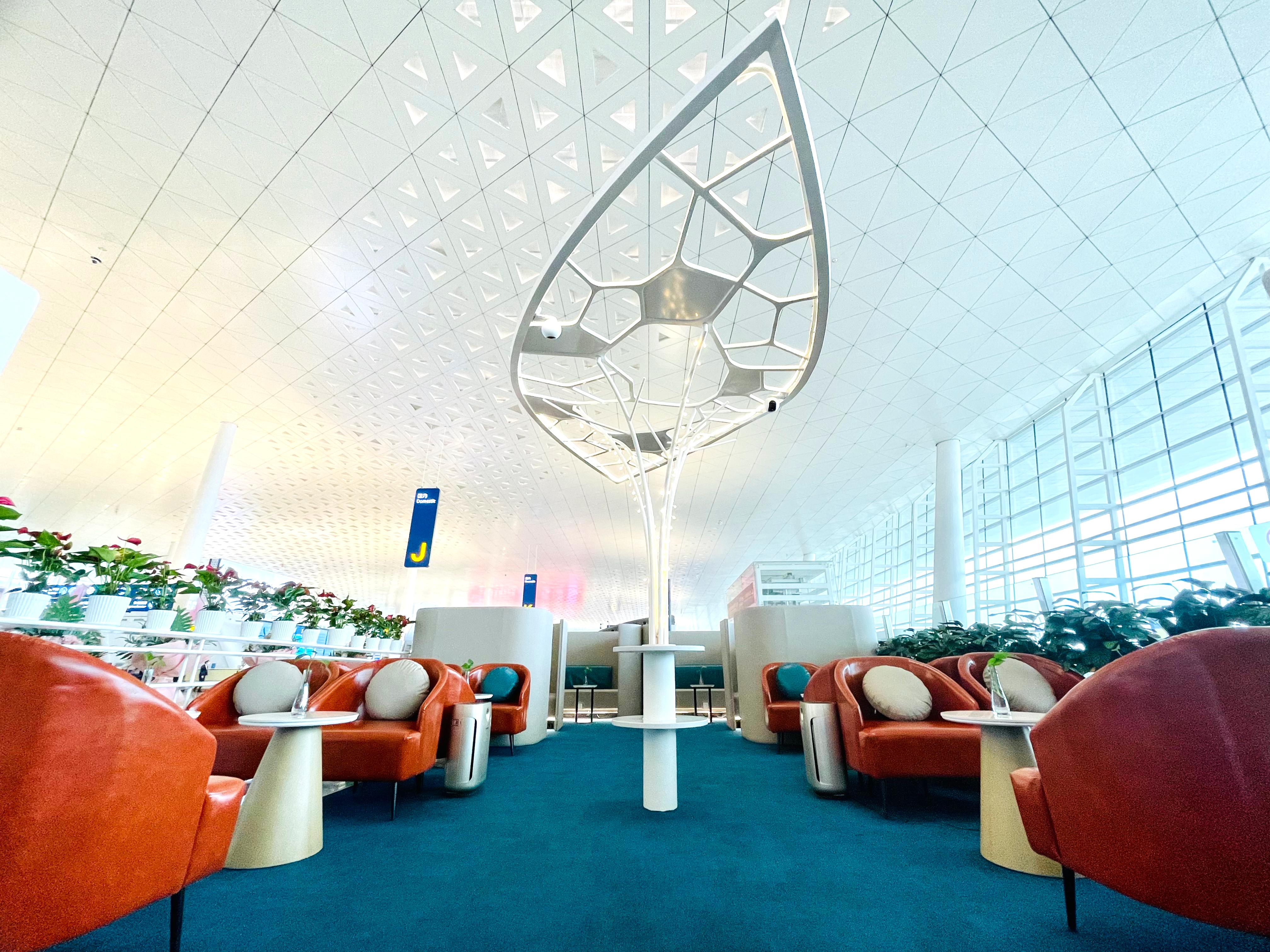 VIP Reception   No.1 Tianhe International Airport