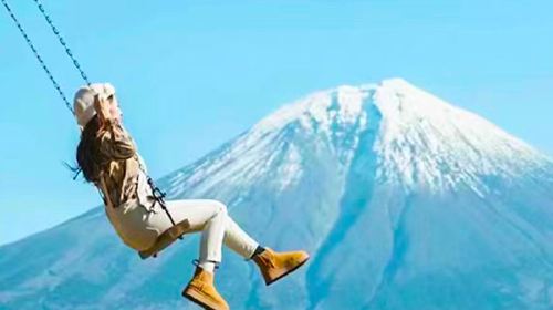 Mt. Fuji and Lake Kawaguchi Panoramic Day Tour