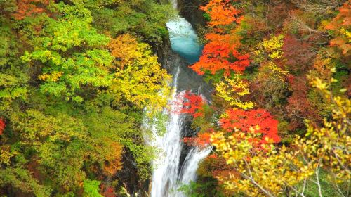 Takachiho Gorge + Aso Volcano Kusasenri 1-day Tour – Optional Beef Lunch Package Including Sightseeing Cruise Ticket