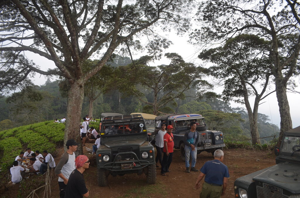 Fun Offroad Pangalengan Bandung – Land Rover Pine Forest Adventure