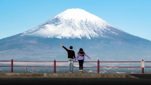 Popular 1-day tour featuring panoramic Lake Tanuki and Makaino Farm Resort [9-person group with hotel pickup service] Day Tours