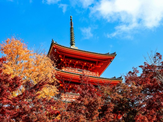 Kyoto Private Car Tour from Osaka: 3 Premium Highlights In A day