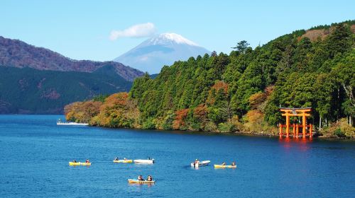 Hakone Shrine + Owakudani + Gotemba Premium Outlets (Departing from Tokyo)