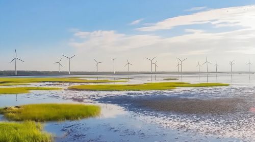 Taiwan Taichung Gaomei Wetland one-day tour[Windmill Silhouette + Wetland Light Chasing] Day Tours