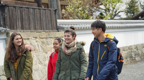 4.5-Hour Kyoto Bike Tour with Lunch and UNESCO Zen Temples Day Tours