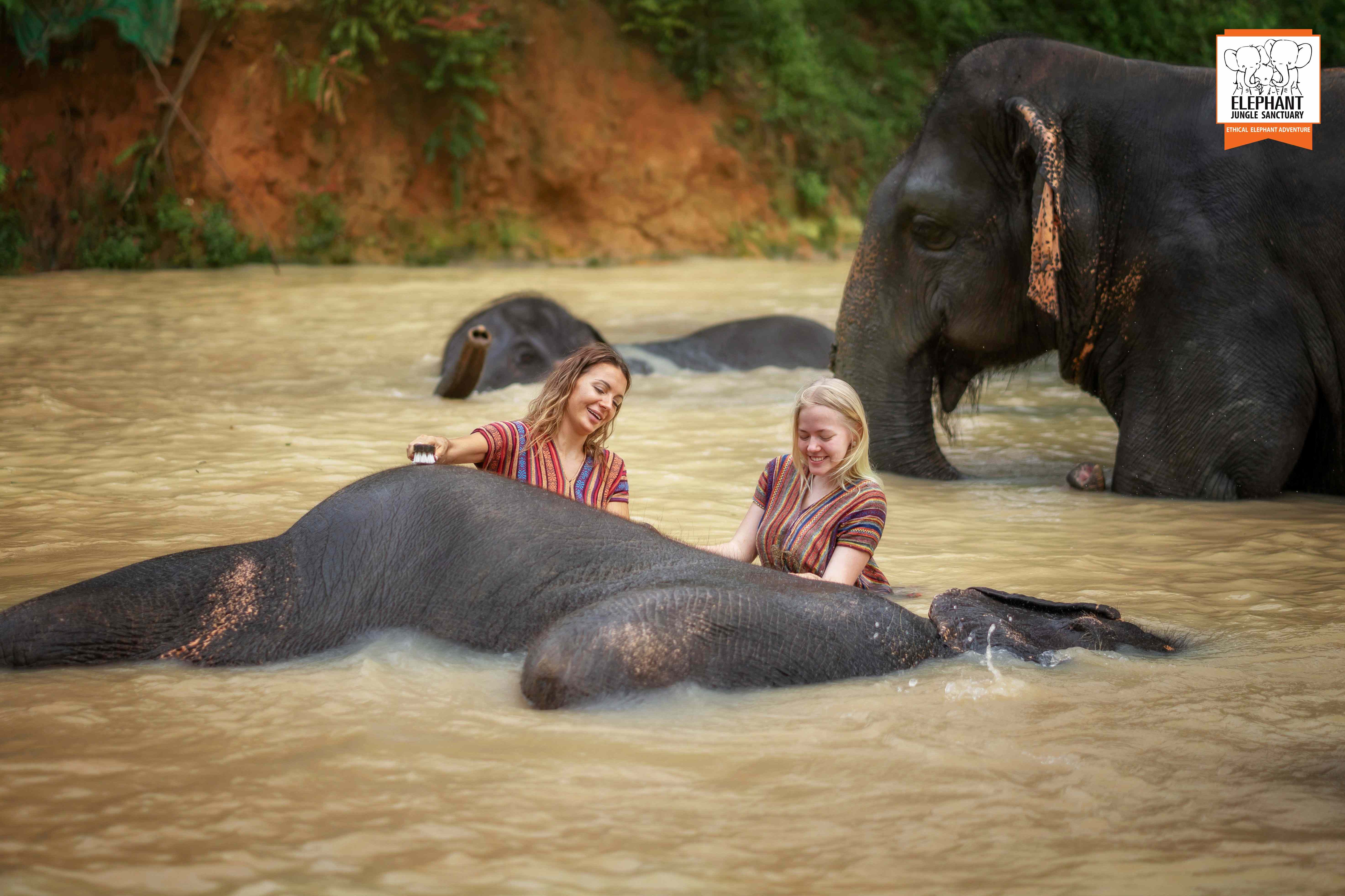 Elephant Jungle Sanctuary - Phuket