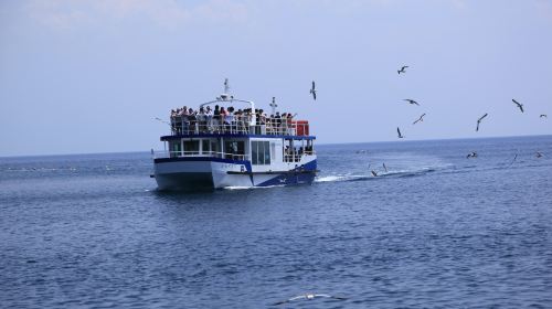 Kyoto's Secret Seaside Secrets Tour & Amanohashidate Ropeway, Ine Funaya, and Ine Bay Cruise with Seagull Feeding