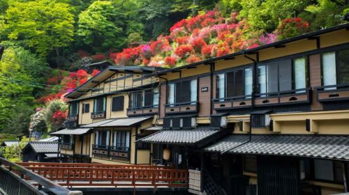 Kumamoto Day Tour|2nd Person Free for 2 Travelers] Mount Aso + Kusasenri + Kurokawa Onsen Day Tours