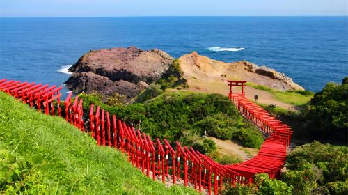 1-day tour to Motonosumi Shrine + Tsunoshima Bridge in Kitakyushu, featuring one of Japan's Three Great Caves