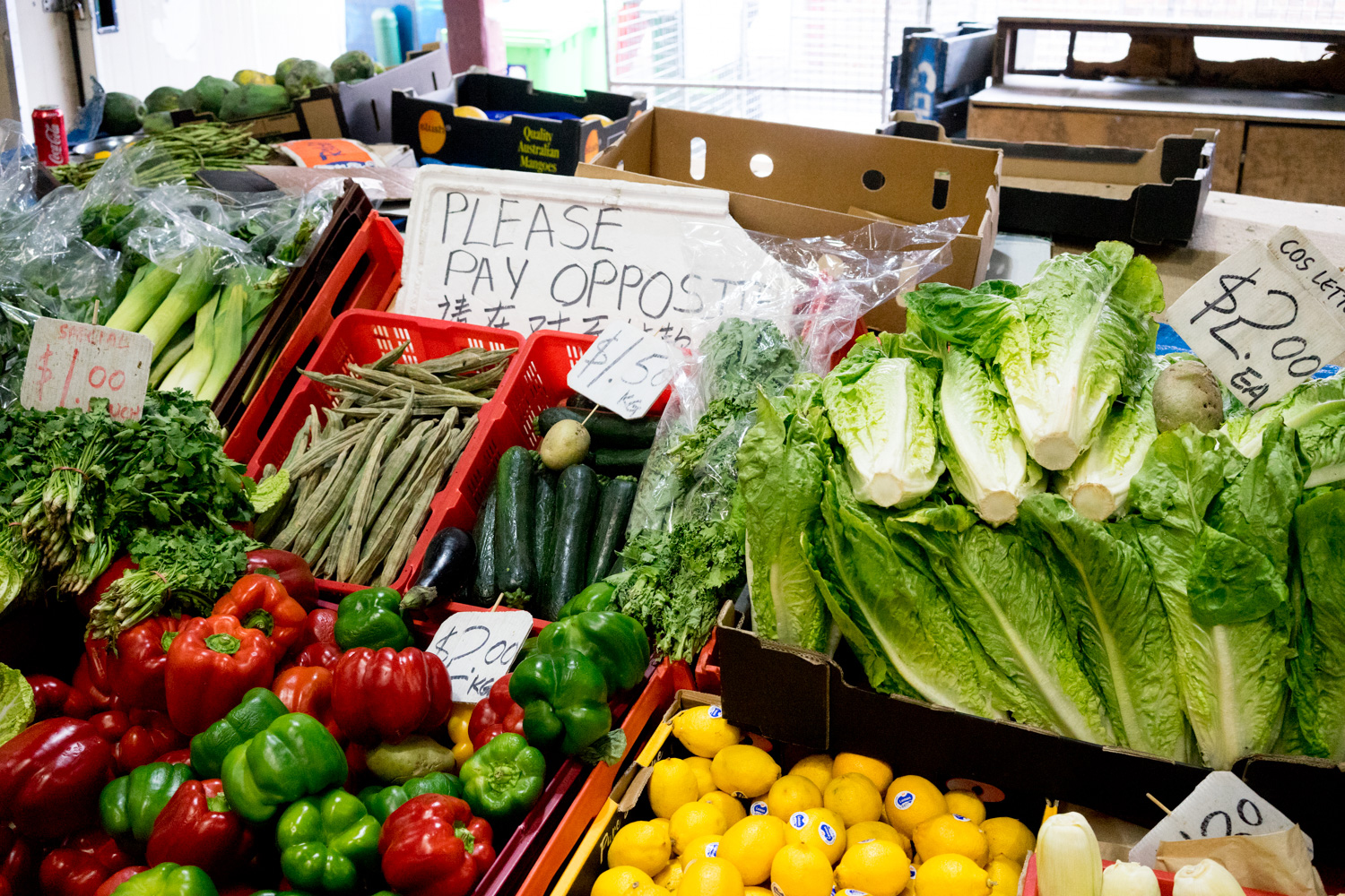 Multicultural Markets of Melbourne Tour