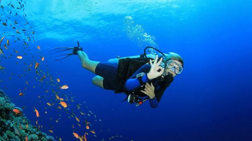 Dubai ScubaDive.ae + Jumeirah Beach diving experience scuba diving 0.5h