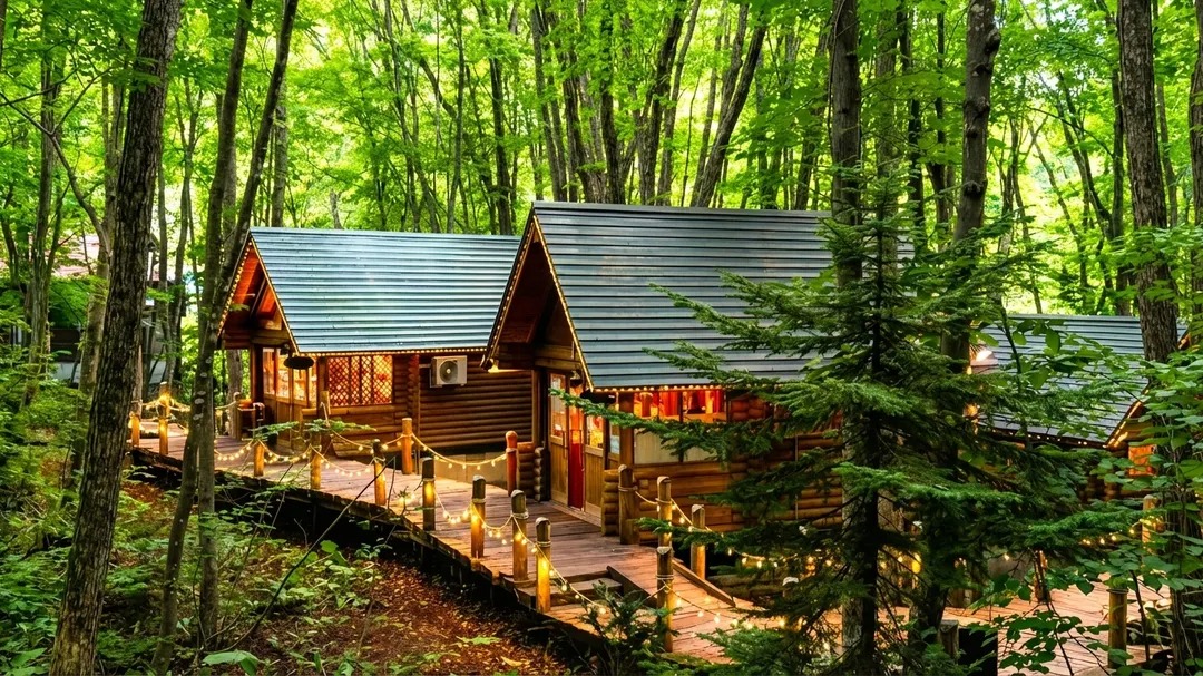 1-day tour to Hokkaido - Asahiyama Zoo, Ningle Terrace, Shirogane Blue Pond (Aoiike) and Shirahige Waterfall