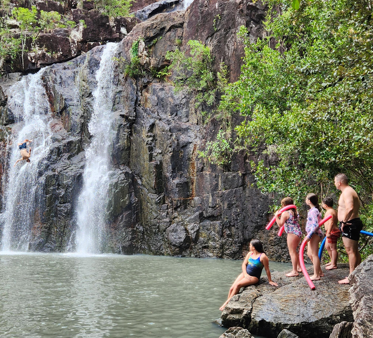 Airlie Beach: Waterfall & Rainforest Bushwalk Eco Adventure