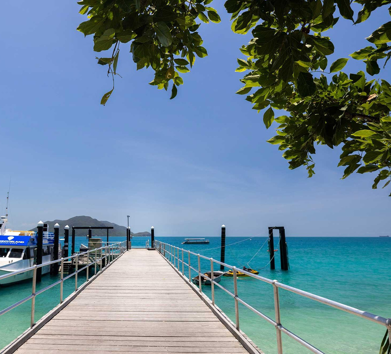 From Cairns: Fitzroy Island Day Trip by Ferry