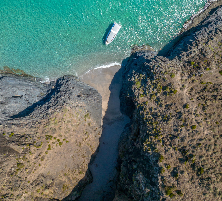 Wirrina Cove: Coastal Sightseeing Boat Tour with Seal Colony